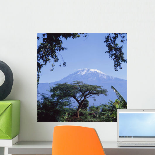 Mt Kilimanjaro,Moshi,Tanzania Wall Mural