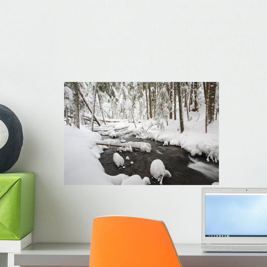 Winter Snow Along Still Creek In Mt Hood National Forest Wall Mural