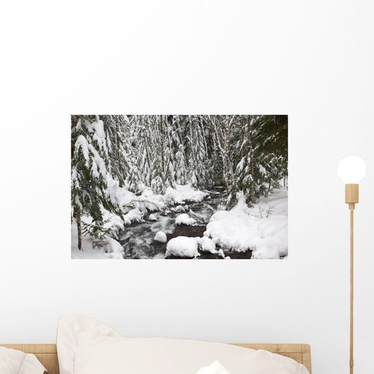 Winter Snow Along Still Creek In Mt Hood National Forest Wall Mural