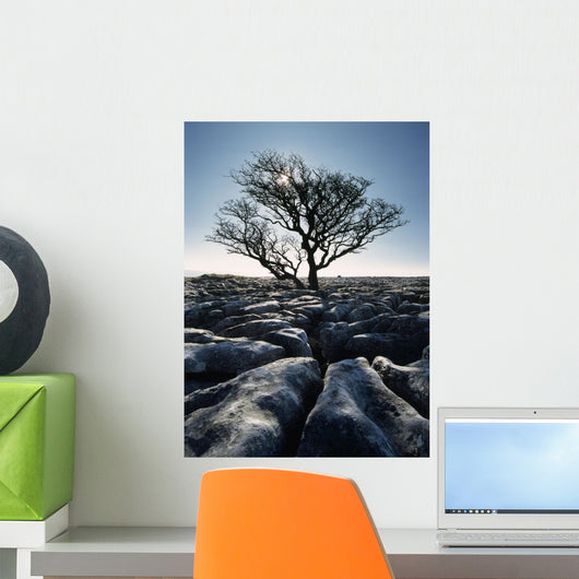 Limestone Pavement At Twisleton Scars Wall Mural