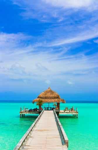 Water Cafe Beach Wall Decal Design 2
