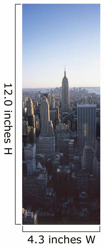 Panoramic View Of Empire State Building Wall Mural
