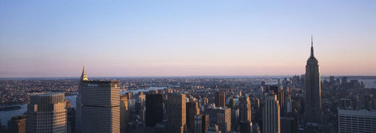 Panoramic View Of Manhattan Wall Mural