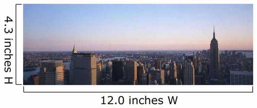 Panoramic View Of Manhattan Wall Mural