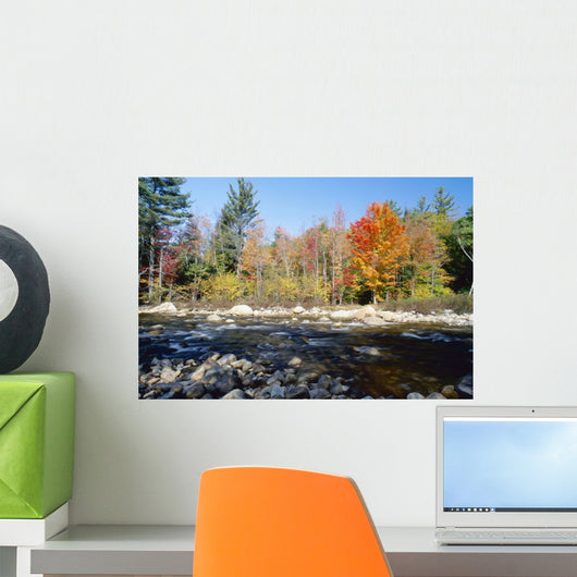 Swift River Wall Mural