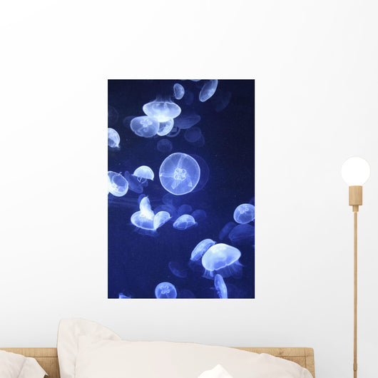 Jellyfish At L'oceanographic Aquarium Wall Mural