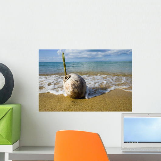 Sprouting Coconut Washed Up On Beach Wall Mural
