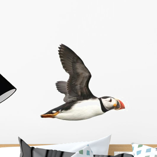 Flying Atlantic Puffin Wall Decal