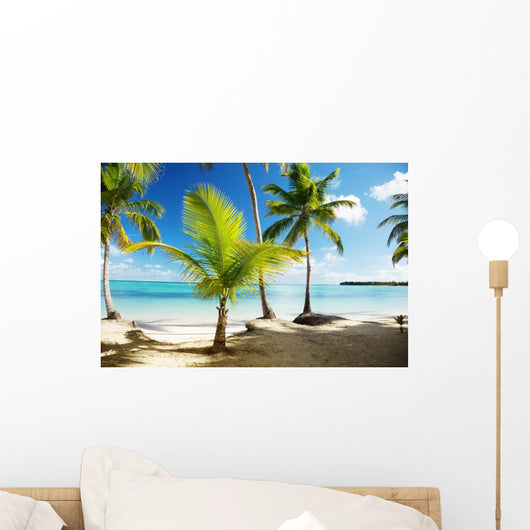 Caribbean Sea and Coconut