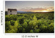 Vineyard Near Malemort-Du-Comtat Wall Mural