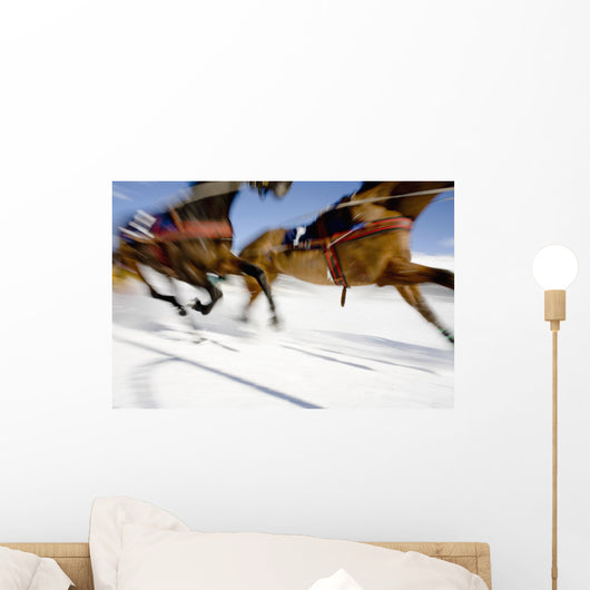 Ski Joring Race Wall Mural