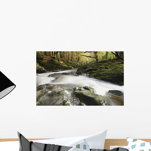 Fast Flowing Water Over Mossy Rocks In Tollymore Forest Park Wall Mural