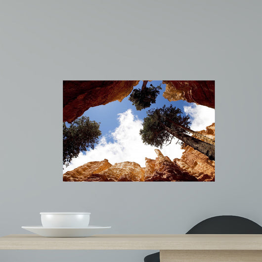 Bryce Sky