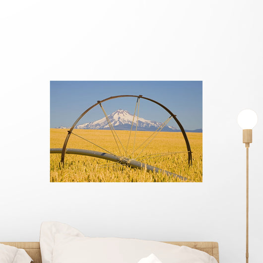 Irrigation Pipe In Wheat Field With Mount Hood In Background Wall Mural
