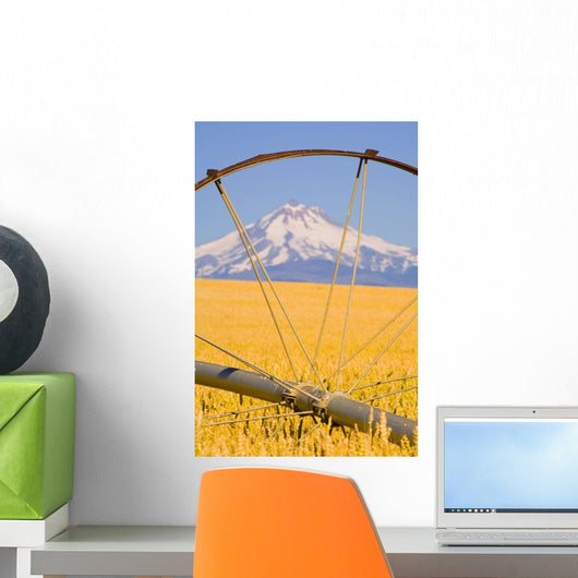 Irrigation Pipe In Wheat Field With Mount Hood In Background Wall Mural