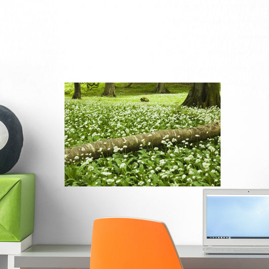 White Wildflowers Growing Amongst The Trees Wall Mural