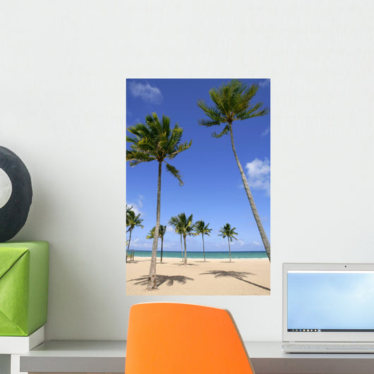 Beach in tropical Florida day with palm trees Wall Mural