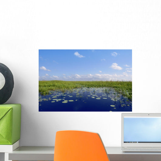 Blue sky in Florida Everglades wetlands green plants horizon Wall Mural