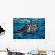 Dancing Dolphins Wall Mural