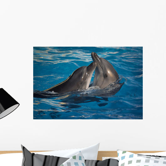 Dancing Dolphins Wall Mural