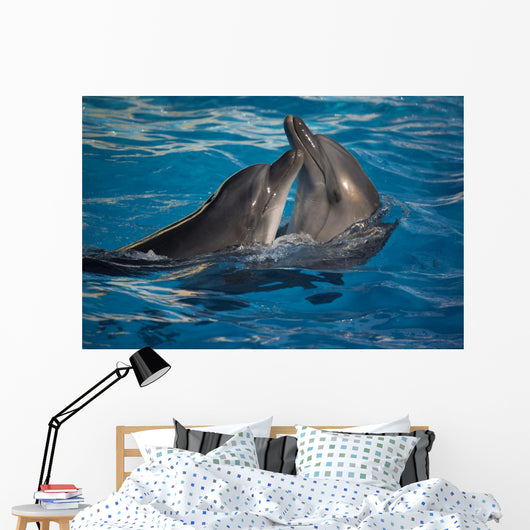 Dancing Dolphins Wall Mural