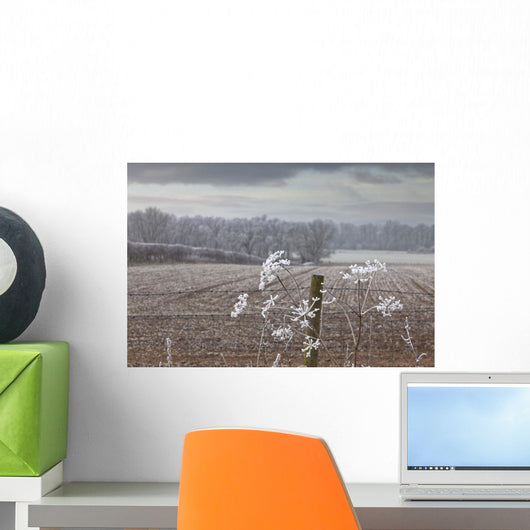 Frost-Covered Rural Field Wall Mural