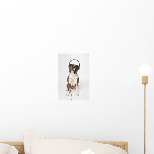 Boxer Dog With Headphones Wall Mural