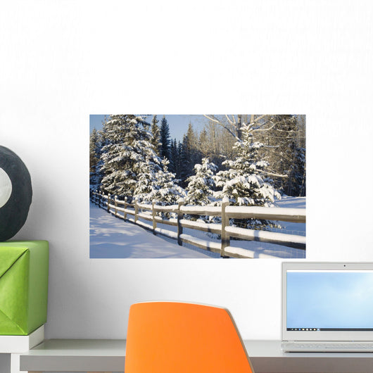 Snow-Covered Evergreens And Rustic Fence Wall Mural