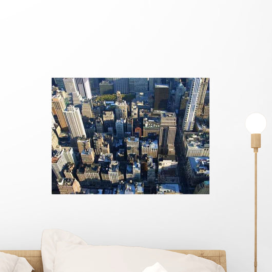 5th Avenue from above Wall Decal