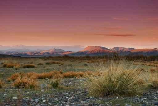 Mongolian Wilderness Wall Decal