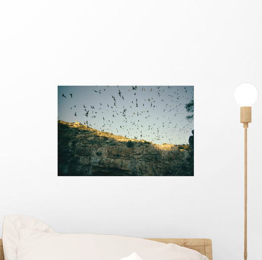 Wild bats Wall Mural