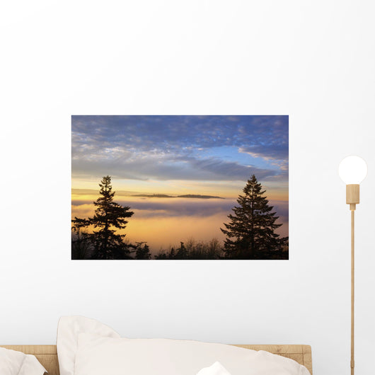 Sunrise Through Morning Fog Wall Mural