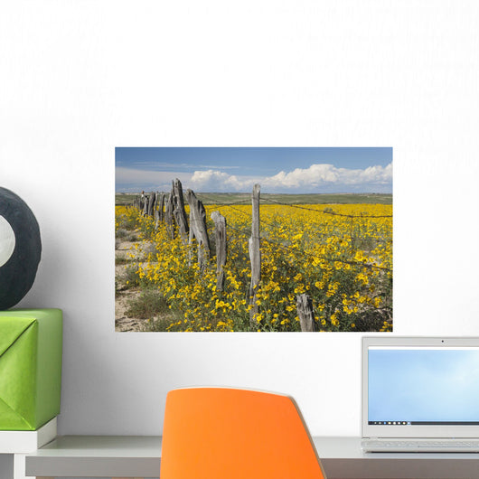 Wildflowers Surround Rustic Barb Wire Fence Wall Mural