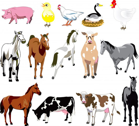 Farm Animals