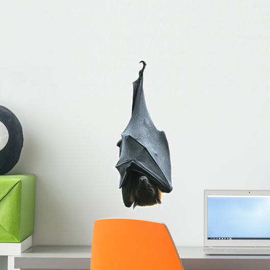 Hanging Vampire Bat Halloween Wall Decal