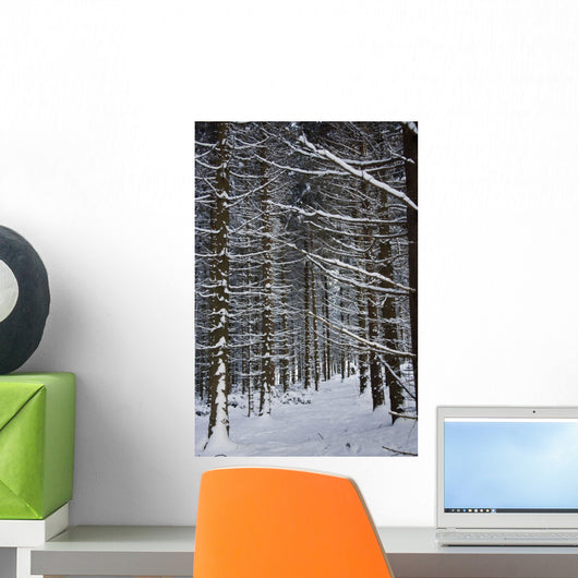 Forest Of Marburg In Winter, Germany Wall Mural
