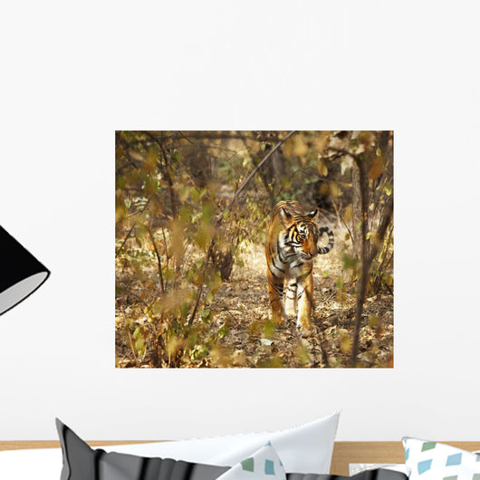 Tiger in the undergrowth at Ranthambore Park Rajasthan India Wall Mural