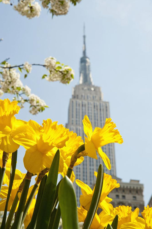 Views Of The Empire State Building And Flowers In Springtime Wall Mural