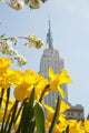Views Of The Empire State Building And Flowers In Springtime Wall Mural