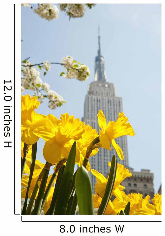 Views Of The Empire State Building And Flowers In Springtime Wall Mural