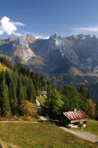 Mont Pict2931 Wall Decal