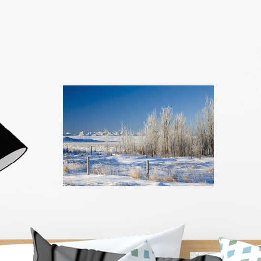 Frost-Covered Trees In Snowy Field Wall Mural