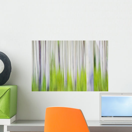 Aspen Tree Blurry Abstract Wall Mural