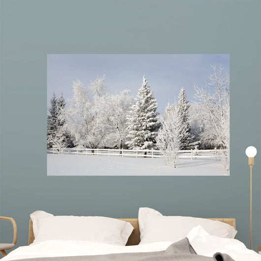 Trees Covered With Snow And Frost Wall Mural