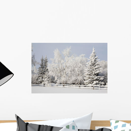 Trees Covered With Snow And Frost Wall Mural