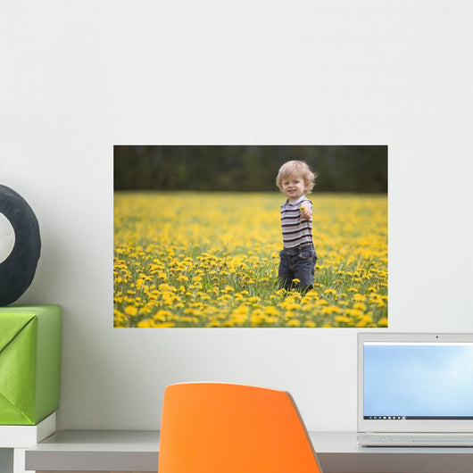 18-Month-Old Boy In Dandelion Field Wall Mural
