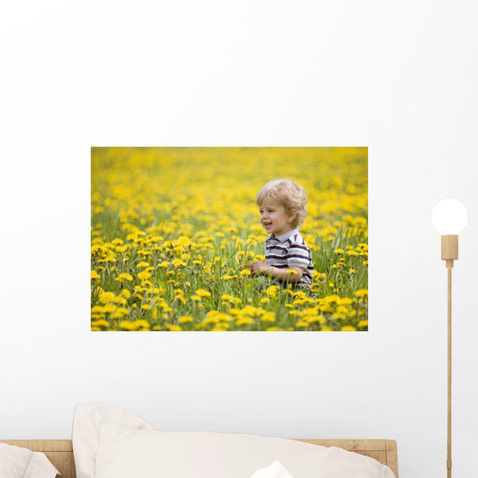 18-Month-Old Boy In Dandelion Field Wall Mural
