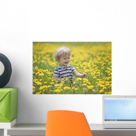 18-Month-Old Boy In Dandelion Field Wall Mural