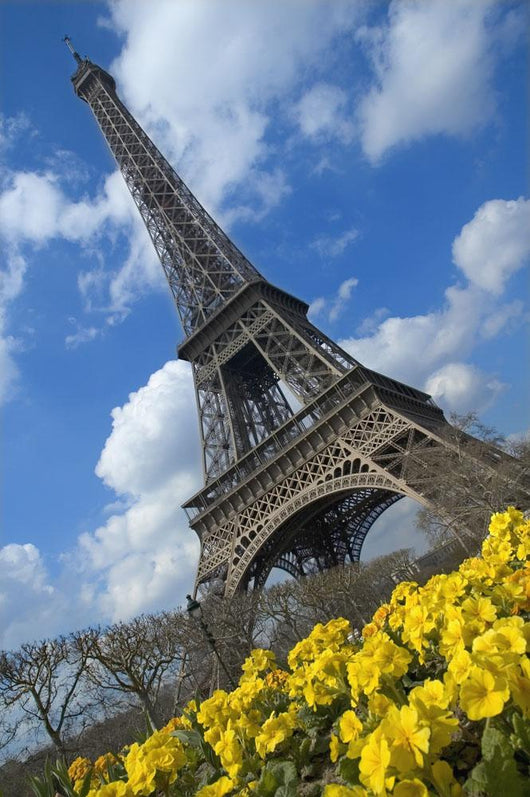 Paris, France Wall Mural