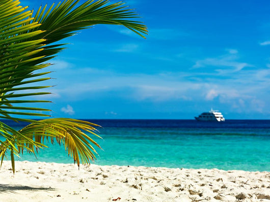 Tropical dream Wall Mural